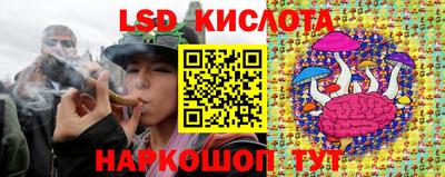 прущий лед Будённовск